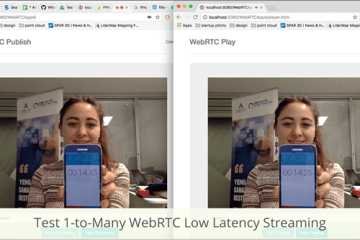 test-1-to-many-webrtc-low-latency-streaming