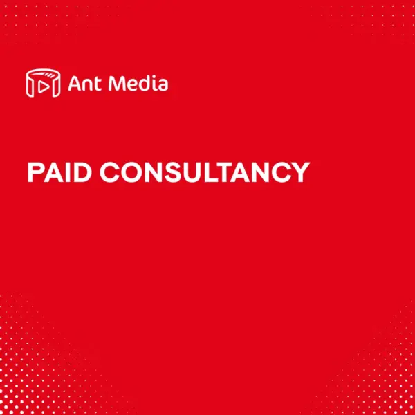 Paid Consultancy