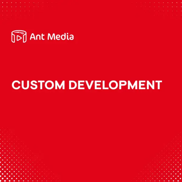 Custom Development