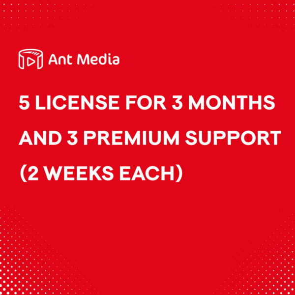 5 License for 3 months and 3 Premium Support (2 weeks each)
