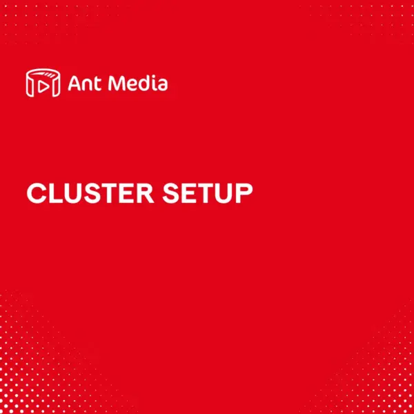 Cluster Setup