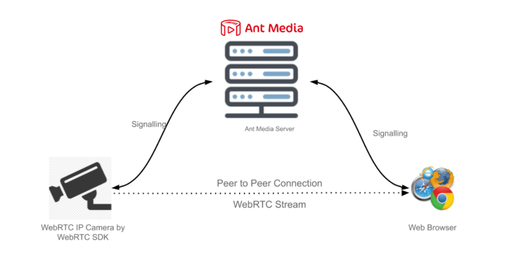 ant media server for ip camera streaming