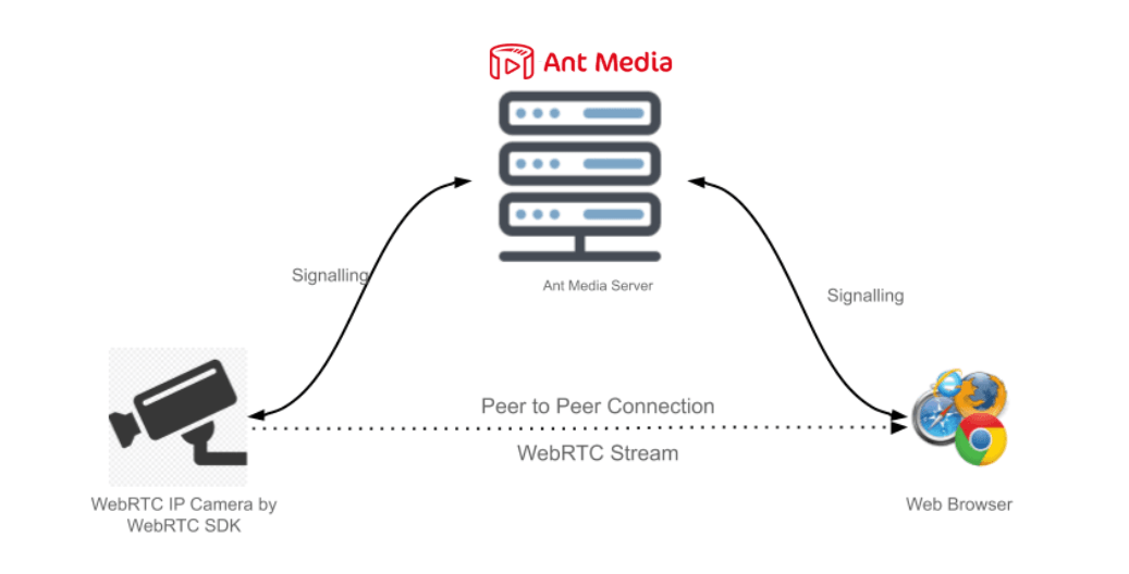 stream ip camera to website