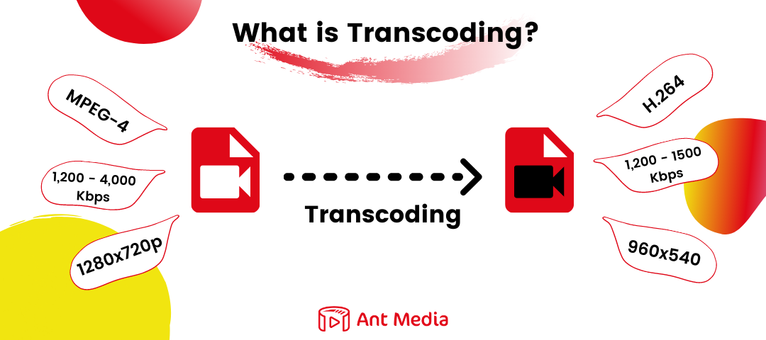 cancel editready transcode