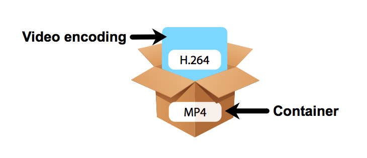 video codecs and containers