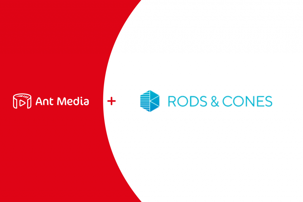 Rodes-cones-case-study
