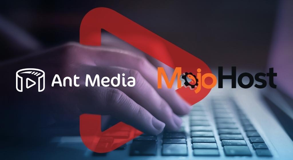 video streaming with Ant Media & MojoHost