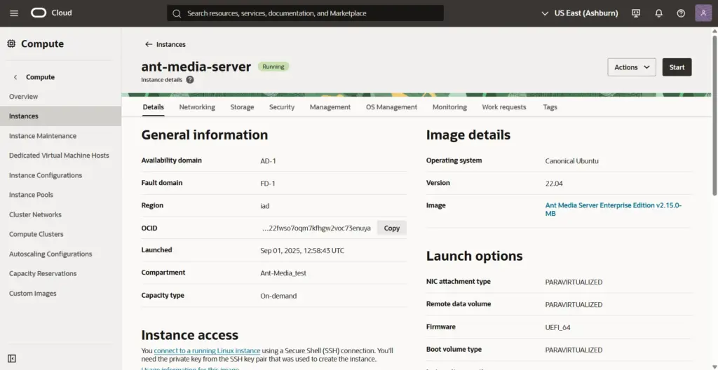 instance details