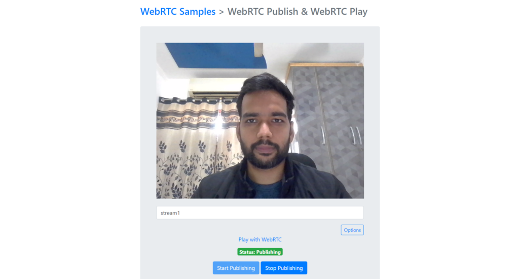 sample webrtc publish page