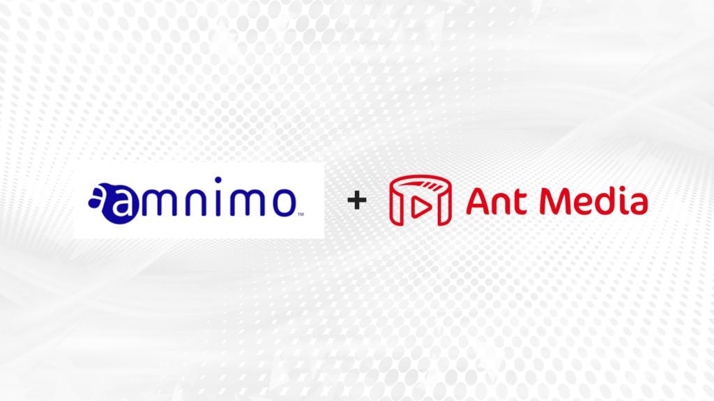 Amnimo Case Study