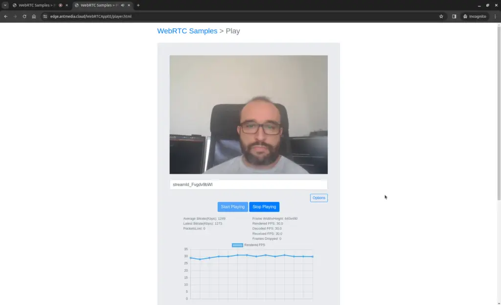 antmedia gke 8.2
