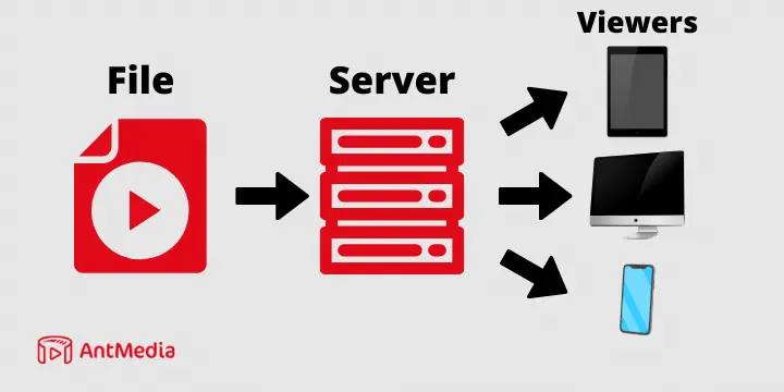 What is a Video Streaming Server
