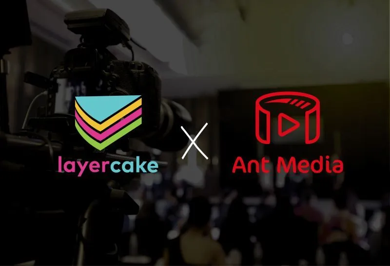 Layercake-and-Ant-Media