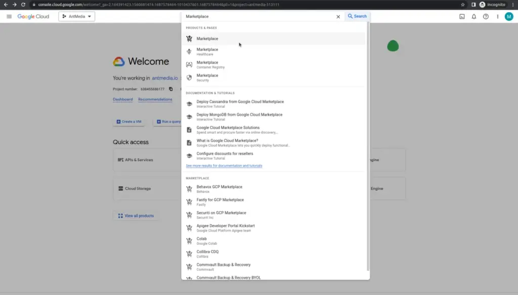 Install Ant Media Server from Google Cloud Marketplace