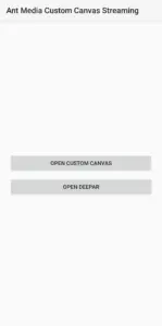 deep ar app launch