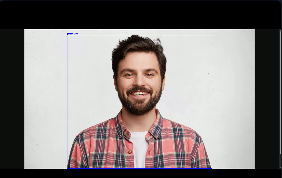 Output of AI plugin with general object detection