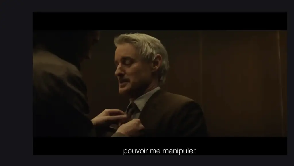 Scribe subtitle playback in a video player