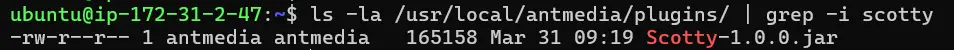 Scotty Installed
