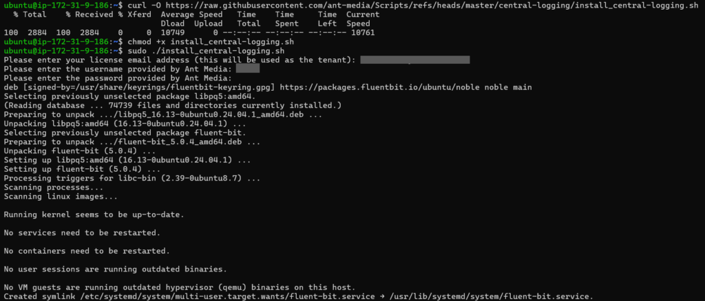 centralized logging for media servers