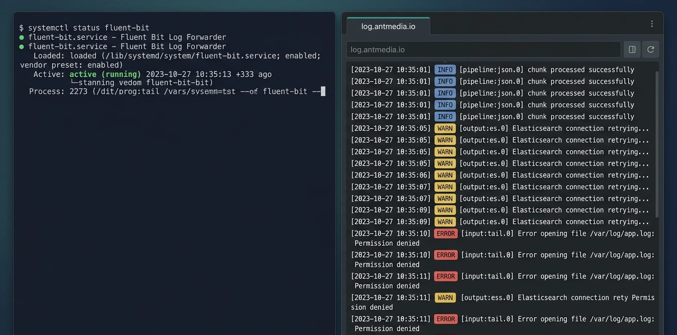 centralized logging for media servers