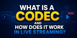 what is a codec