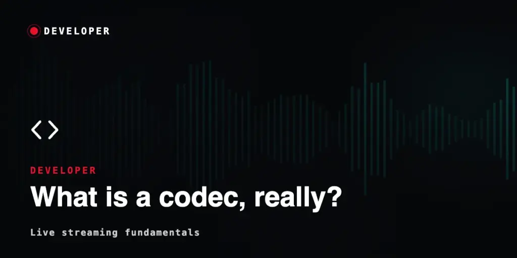 What is a Codec
