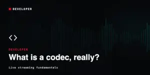What is a Codec