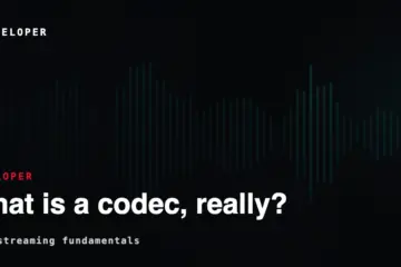 What is a Codec