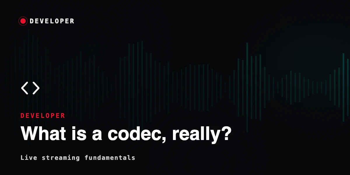 What is a Codec