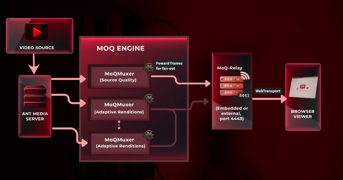 ams-moq-to-browser