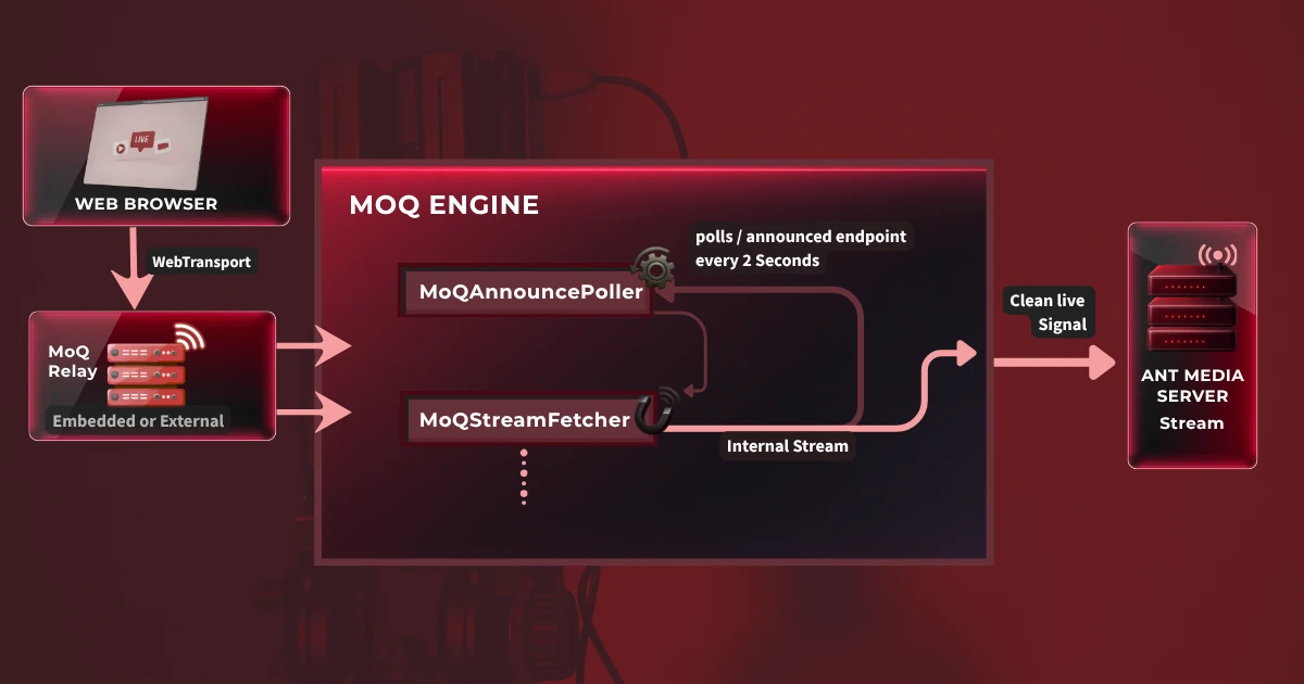 Ingest NEW Browser to AMS