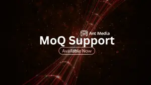 moq hero new